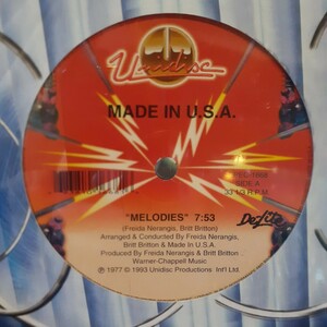 MADE IN USA（U.S.A.)/ MELODIES / SHAKE YOUR BODY /GARAGE,LARRY LEVAN,THE LOFT,RON HARDY,TIMMY,DJ HARVEY,THEO PARRISH