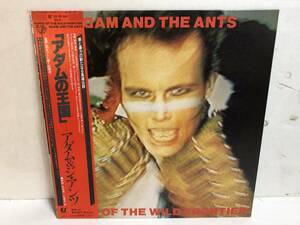 40120S 美盤 帯付12inch LP★アダム＆ジ・アンツ/ADAM AND THE ANTS/KINGS OF THE WILD FRONTIER★25・3P-281