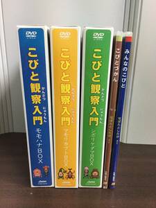 DVD　みんなのこびと　こびとづかん　こびと観察入門　DVD-BOX　セット　60サイズ