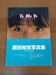  Harada Tomoyo фотоальбом To Mo Yo первая версия * с поясом оби hm2401