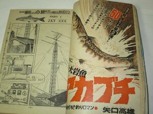 少年マガジン1973 24号 読切幻の大岩魚アカブチ矢口高雄 愛と誠 あしたのジョー6番勝負 松本零士 永井豪 横山光輝 赤塚不二夫 池上遼一 他