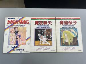 【3点セット】かがみあきら　青池保子　魔夜峰央　自選複製原画集　チェリッシュギャラリー　原画の欠品なし！　※ZA