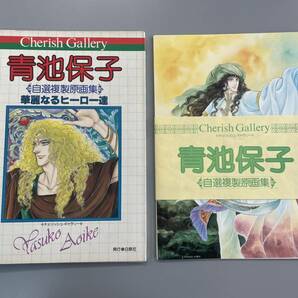 【3点セット】かがみあきら 青池保子 魔夜峰央 自選複製原画集 チェリッシュギャラリー 原画の欠品なし！ ※ZAの画像7