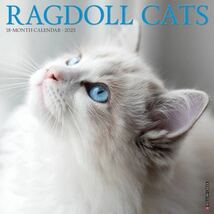 ラグドール 2023年月めくり壁掛けカレンダー　Willowcreek Ragdoll Cats 猫_画像2