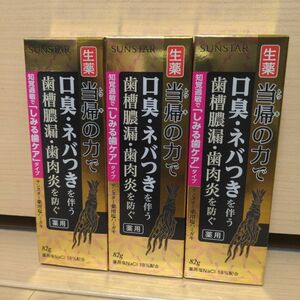 サンスター 生薬 当帰の力 85g 歯磨き粉 サンスター　薬用ハミガキ