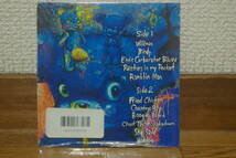 ROCK N ROLL ADVENTURE KIDS - Hillbilly Psychosis 中古CD TOTAL TRASH RECORDS #1_画像2