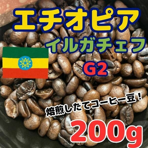 【自家焙煎コーヒー豆】エチオピア イルガチェフG2 ウォッシュド　約20杯分/200g(珈琲豆or粉)ジェネカフェで焙煎フルーティー