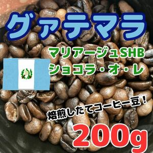 【自家焙煎コーヒー豆】グァテマラ　マリアージュSHBショコラ・オ・レ 約20杯分/200g(珈琲豆or粉)グアテマラの良い香り