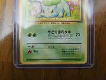 ① ポケモンカード 旧裏面 旧裏 フシギダネ マークなし_画像6