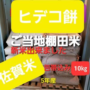 令和5年産棚田で育てたヒデコ餅10㎏白米