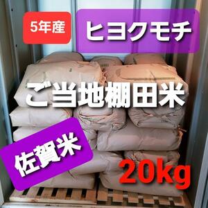 . peace 5. year production shelves rice field ... hiyokmochi20kg new rice 