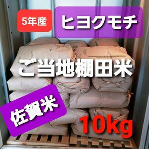 . peace 5 year production shelves rice field ... hiyokmochi10kg new rice 