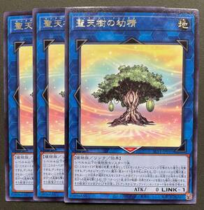 遊戯王 聖天樹の幼精 レア 字レア 3枚 SLT1-JP031