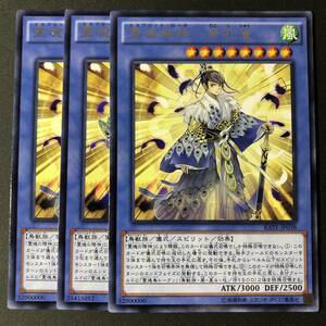 遊戯王 霊魂鳥神 彦孔雀 レア 字レア 3枚 RATE-JP038