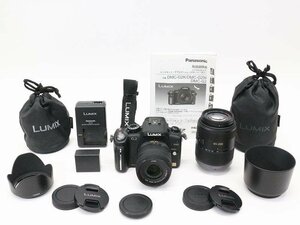 ●○【総シャッター数8200回以下】Panasonic LUMIX DMC-G2W ダブルズームレンズキット ミラーレス 一眼カメラ パナソニック●019892003○●