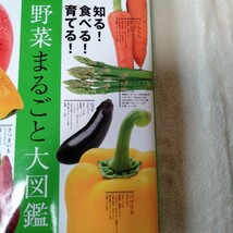 B041 野菜まるごと大図鑑 本 雑誌_画像4