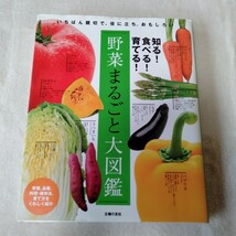 B041 野菜まるごと大図鑑 本 雑誌_画像1
