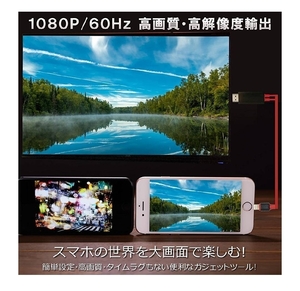 iPhone テレビ 接続ケーブル HDMI 変換 アダプタ ライトニング ケーブル Lightning iPad iPod も 大画面 テレビ に 高解像度 ミラーリング