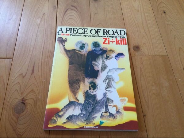 Zi÷kill / A PIECE OF ROAD