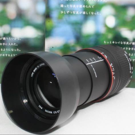 SIGMA 28-300mm Nikon用 標準+望遠レンズ 美品！-