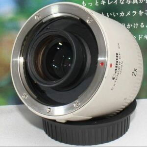 Canon EXTENDER EF 2X テレコンバター２倍 EFマウント用