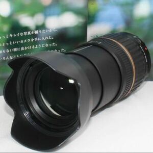 1本で近遠対応の万能レンズタムロン 18-200mm キャノン用