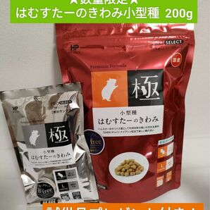 ハイペット　小型種はむすたーのきわみ　200g 試供品付き♪