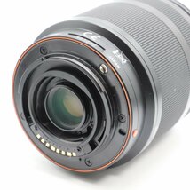 【ほぼ新品】ソニー SONY DT 18-200mm F3.5-6.3 SAL18200_画像6