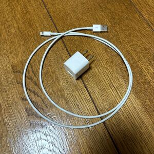 Apple iPhone 8 充電器 USBケーブル