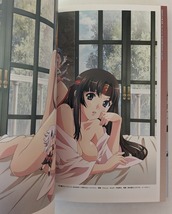 クイーンズブレイド　王座を継ぐ者コンプリート　TV ANIMATION OFFICIAL VISUAL BOOK　ホビージャパン　_画像5