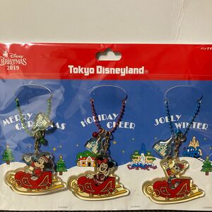 東京ディズニーリゾート 2019 クリスマス バッグチャーム キーホルダー