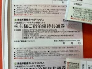 2枚☆東急不動産ホールディングス株主優待券☆リゾートホテル・東急ステイご宿泊共通券・2024年8月31日期限♪