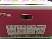 【Good】高級柑橘 ！ハウスせとか 愛知 JA蒲郡産 8～12玉 約2kg_画像6