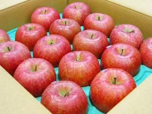【Good】糖度保証！カラーセンサー撰別品！りんごの本場・青森産『サンふじ』14～18玉 約5kg