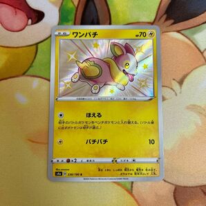 ワンパチ 色違い S ポケモンカード ポケカ