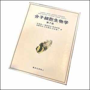 中古●東京化学同人●分子細胞生物学 第七版 ケースに破れあり 医学 2016年発行 定価8300円