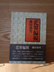 231228-5 茫界偏視　藤枝静男著　昭和５３年11月２4日第１刷発行　講談社