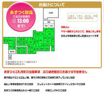 浴衣 帯 リバーシブル 赤×グリーン 浴衣帯 無地 単衣 ゆかた帯 浴衣おび 卒業式 袴下帯 袴帯 半幅帯 袴 下帯 卒業袴 レディース 赤 緑_画像5