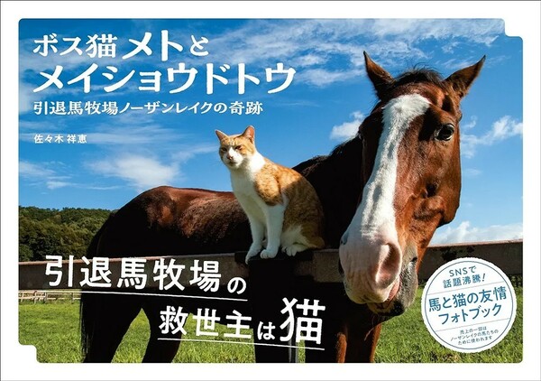 【新品 未使用】ボス猫メトとメイショウドトウ 佐々木祥恵 送料込み