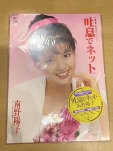 南野陽子 吐息でネット。 限定盤 レコード 豪華5大特典 全てあり 17cm シングル 