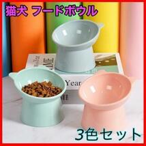 猫犬 フードボウル ペット用食器　餌入れ水やり　猫耳　オシャレ 3個セット_画像5