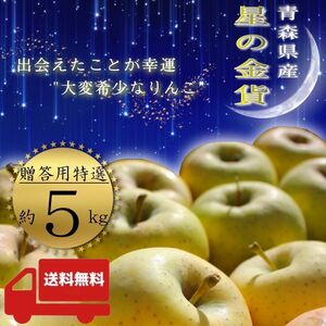 ＂ 星の金貨 ＂ 【青森県産りんご5kg】【産地直送】【即購入OK】【送料無料】贈答用 りんご リンゴ 林檎