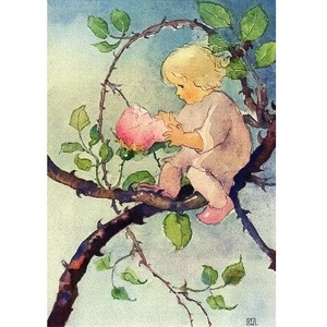 ミリ・ウェーバー バラの妖精 スイス 製 ポストカード グリーティングカード 絵はがき 花 バラ 妖精 パタミン