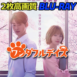 ワンダフルデイズ B653 Blu-ray 【韓国ドラマ】 