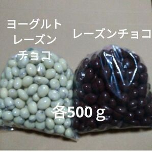 レーズンチョコ　ヨーグルトレーズンチョコ　500ｇ　各1袋　アウトレットチョコ