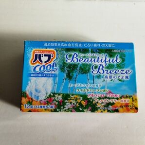 【新品未使用】 花王入浴剤バブクール(高原のそよ風)(海辺のくつろぎ)2箱セット