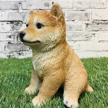 柴犬 子犬のオブジェ 置物 可愛い リアル アニマルオブジェ インテリア 動物 ガーデンオーナメント 玄関先 庭 雑貨 豆柴_画像5