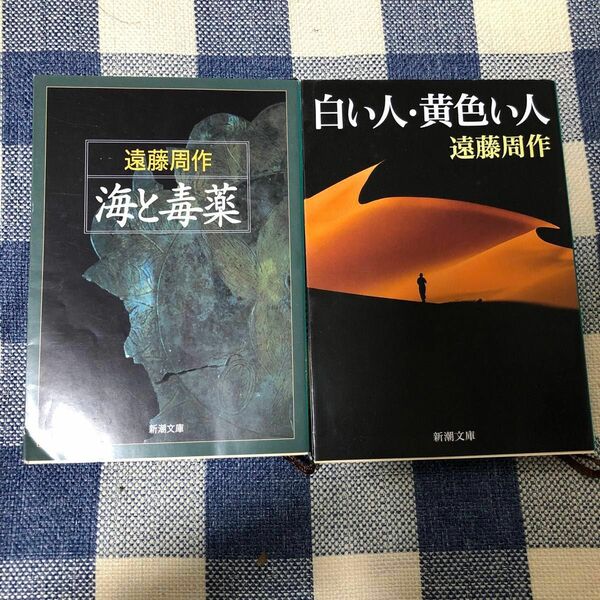 遠藤周作　白い人・黄色い人　海と毒薬　2冊セット