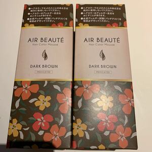 新品未使用品　定価3980円　へヘアカラー 白髪 AIR BEAUTE ダークブラウン 男女兼用　80g 2箱セット売り　泡 タイプ