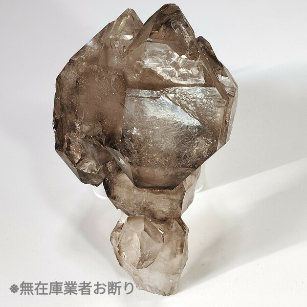 251g 巨大 セプタークォーツ 松茸水晶 ジャカレー水晶 カテドラル水晶 原石 アリゲータークォーツ ワニ水晶